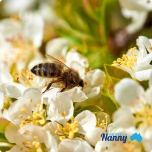 How a nanny in Sydney Can Safeguard Your Child from Allergies and Hay Fever